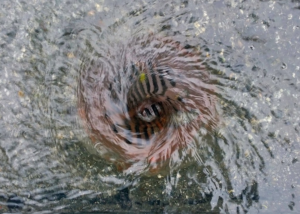 Blocked Stormwater Services