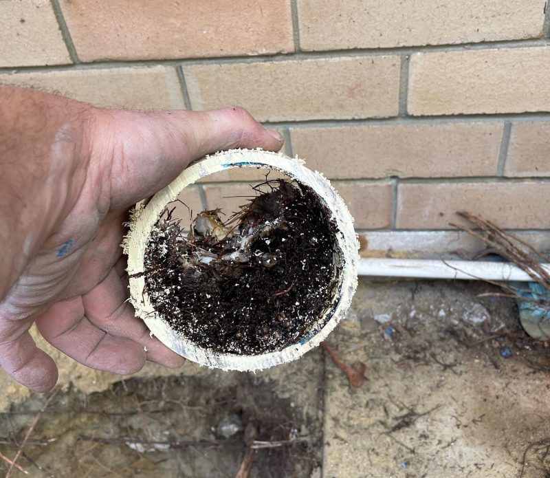 Clogged Drain Repairs