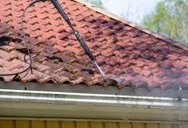Gutter Cleaning Service