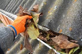 Why Gutter Cleaning is Essential