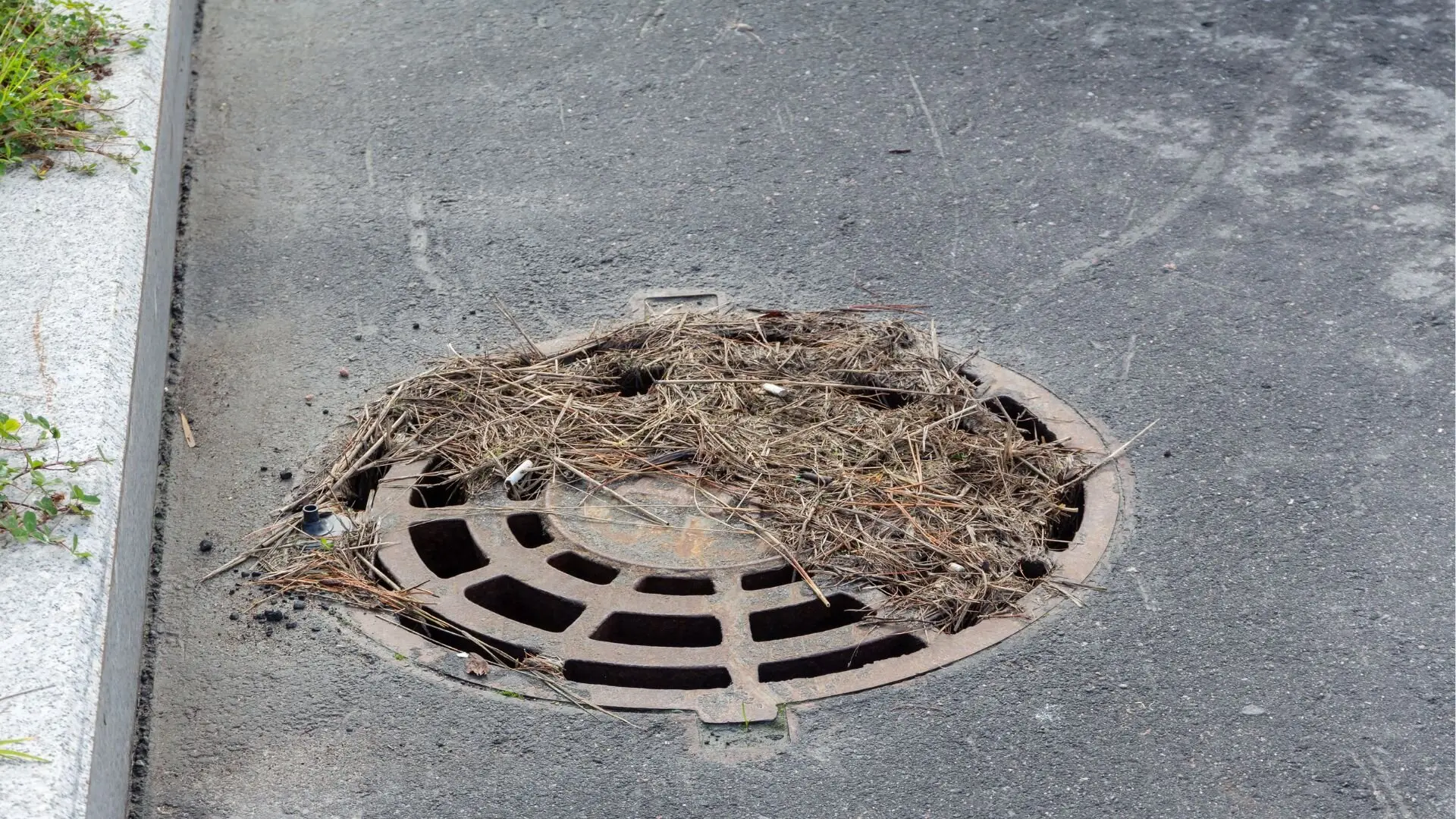 Blocked stormwater drain causing water buildup on a residential street during heavy rain.
